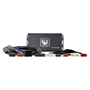 Phoenix Gold Forstærker kit til Daewoo,SsangYong 2005-