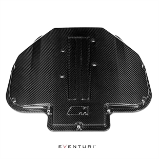 Eventuri BMW S62 V8 Carbon Plenum Lid for E39 M5 and Z8