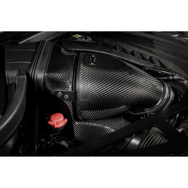 53181928337_88362cc13c_k