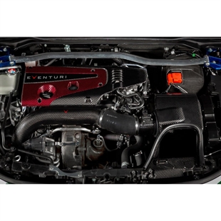 53510283356_557575f2ba_k