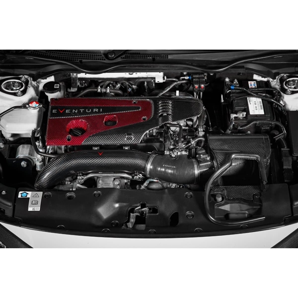 53571121661_6bc02e8d00_k