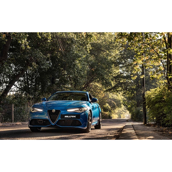 Valved_Resonated_CatBack_Race_Exhaust_System_Uses_OE_Trims_688a201f28a44_1jpeg