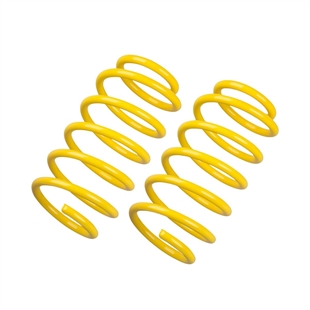 ST Sænkningssæt BMW 5 F10 (5L)