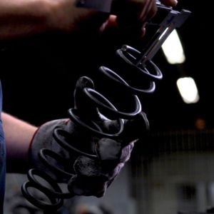 Vogtland black springs